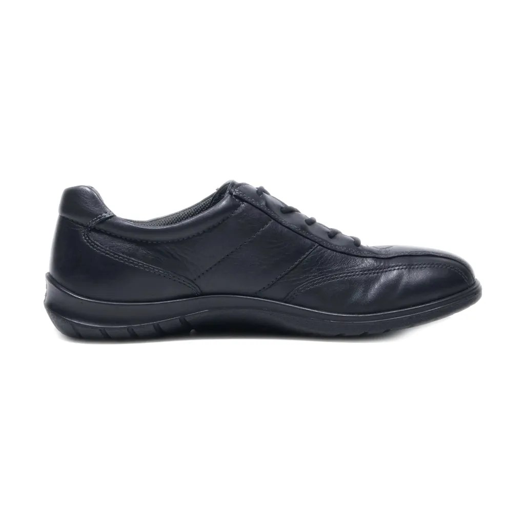 Ecco Trainers & Sneakers Canvas Black Colour For Women